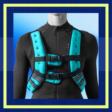 Harness positioned on a person's torso.