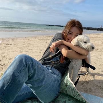 a person and a dog on a beach a person and a dog on a beach
